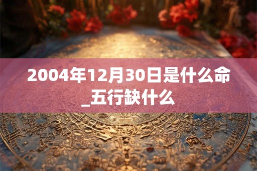 2004年12月30日是什么命_五行缺什么 2004年12月30日是什么命_五行缺什么