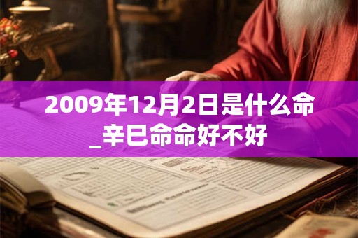 2009年12月2日是什么命_辛巳命命好不好 2009年12月2日是什么命_辛巳命命好不好
