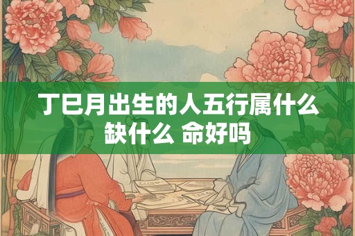 丁巳月出生的人五行属什么缺什么 命好吗