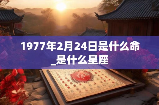 1977年2月24日是什么命_是什么星座
