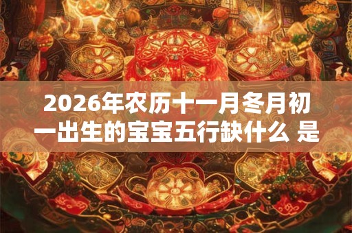 2026年农历十一月冬月初一出生的宝宝五行缺什么 是什么命 2026年农历十一月冬月初一出生的宝宝五行缺什么 是什么命