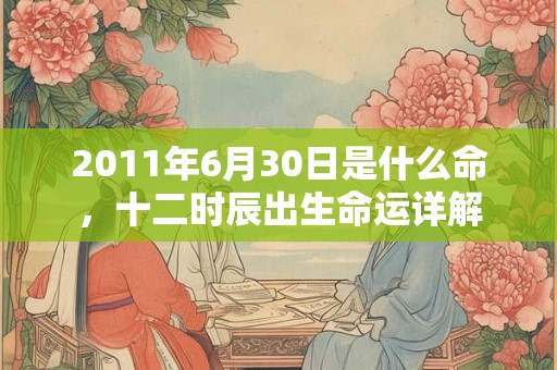 2011年6月30日是什么命，十二时辰出生命运详解