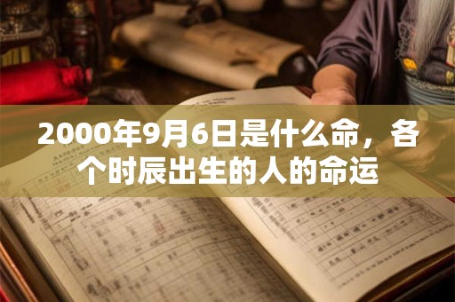 2000年9月6日是什么命，各个时辰出生的人的命运