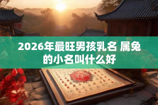 2026年最旺男孩乳名 属兔的小名叫什么好 2026年最旺男孩乳名 属兔的小名叫什么好