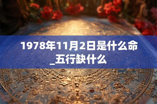 1978年11月2日是什么命_五行缺什么