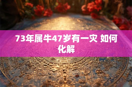 73年属牛47岁有一灾 如何化解