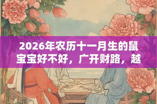 2026年农历十一月生的鼠宝宝好不好,广开财路,越老就越富有 2026年农历十一月生的鼠宝宝好不好,广开财路,越老就越富有