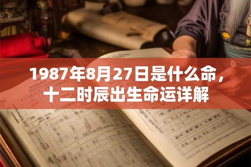 1987年8月27日是什么命，十二时辰出生命运详解
