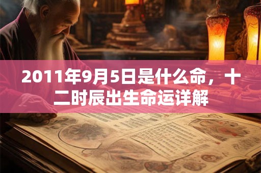 2011年9月5日是什么命,十二时辰出生命运详解 2011年9月5日是什么命,十二时辰出生命运详解