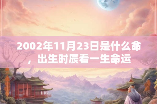 2002年11月23日是什么命,出生时辰看一生命运 2002年11月23日是什么命,出生时辰看一生命运