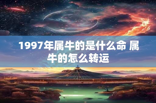 1997年属牛的是什么命 属牛的怎么转运 1997年属牛的是什么命 属牛的怎么转运