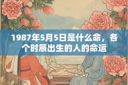 1987年5月5日是什么命,各个时辰出生的人的命运 1987年5月5日是什么命,各个时辰出生的人的命运