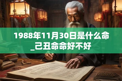 1988年11月30日是什么命_己丑命命好不好
