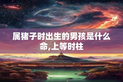 属猪子时出生的男孩是什么命,上等时柱