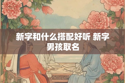新字和什么搭配好听 新字男孩取名 新字和什么搭配好听 新字男孩取名