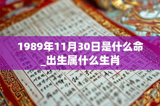 1989年11月30日是什么命_出生属什么生肖 1989年11月30日是什么命_出生属什么生肖