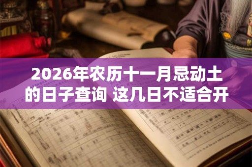 2026年农历十一月忌动土的日子查询 这几日不适合开工 2026年农历十一月忌动土的日子查询 这几日不适合开工