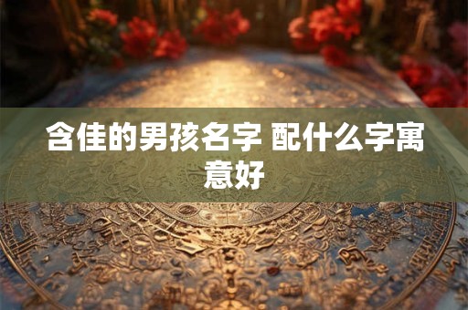 含佳的男孩名字 配什么字寓意好 含佳的男孩名字 配什么字寓意好