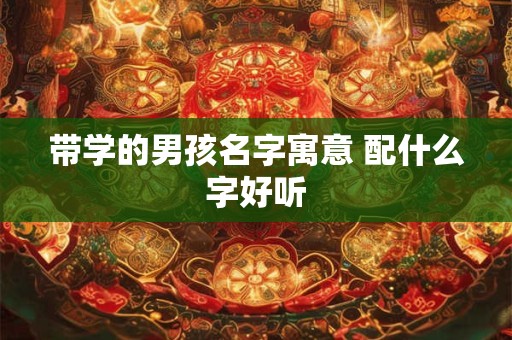 带学的男孩名字寓意 配什么字好听 带学的男孩名字寓意 配什么字好听