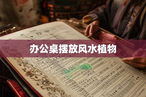 办公桌摆放风水植物