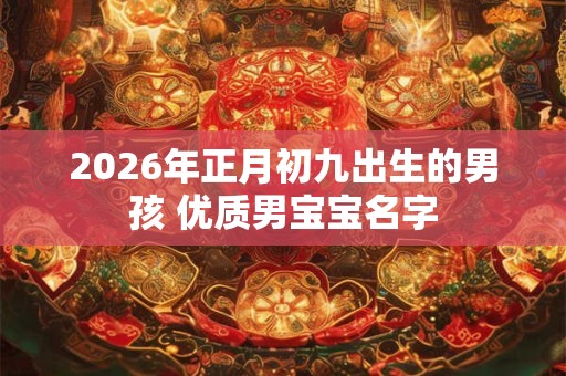 2026年正月初九出生的男孩 优质男宝宝名字
