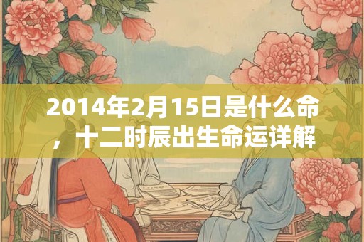 2014年2月15日是什么命,十二时辰出生命运详解 2014年2月15日是什么命,十二时辰出生命运详解