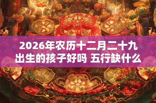 2026年农历十二月二十九出生的孩子好吗 五行缺什么 2026年农历十二月二十九出生的孩子好吗 五行缺什么