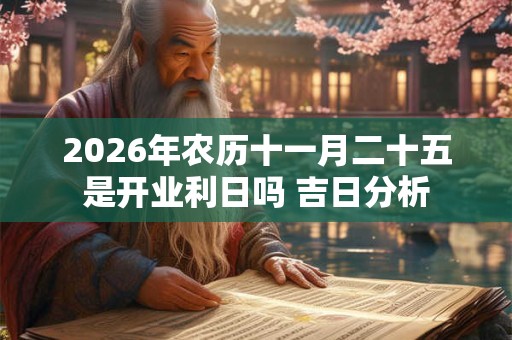 2026年农历十一月二十五是开业利日吗 吉日分析 2026年农历十一月二十五是开业利日吗 吉日分析