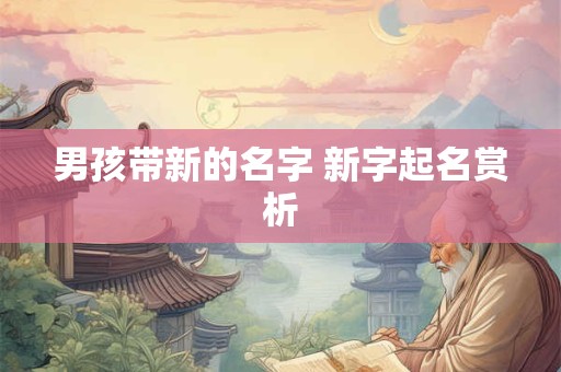 男孩带新的名字 新字起名赏析 男孩带新的名字 新字起名赏析