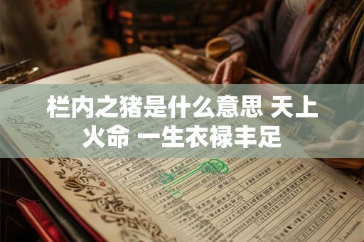 栏内之猪是什么意思 天上火命 一生衣禄丰足 栏内之猪是什么意思 天上火命 一生衣禄丰足