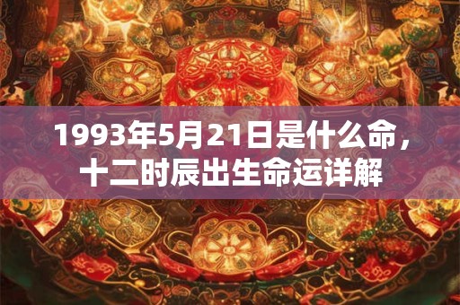 1993年5月21日是什么命，十二时辰出生命运详解