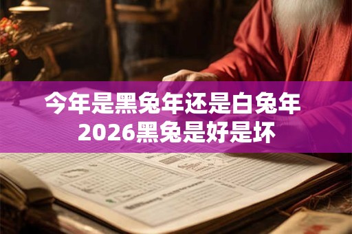 今年是黑兔年还是白兔年 2026黑兔是好是坏 今年是黑兔年还是白兔年 2026黑兔是好是坏