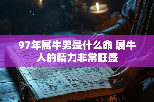 97年属牛男是什么命 属牛人的精力非常旺盛