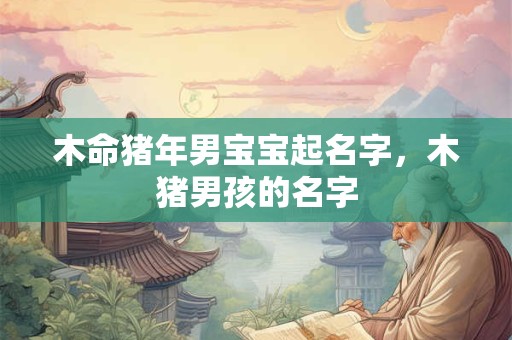 木命猪年男宝宝起名字,木猪男孩的名字 木命猪年男宝宝起名字,木猪男孩的名字