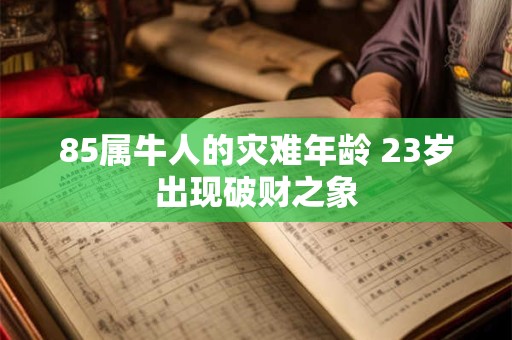 85属牛人的灾难年龄 23岁出现破财之象