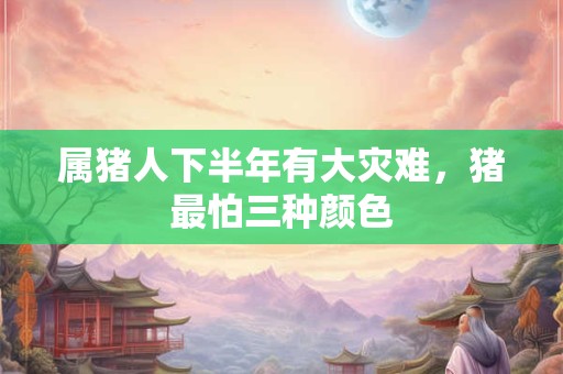 属猪人下半年有大灾难,猪最怕三种颜色 属猪人下半年有大灾难,猪最怕三种颜色