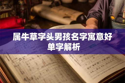 属牛草字头男孩名字寓意好 单字解析 属牛草字头男孩名字寓意好 单字解析