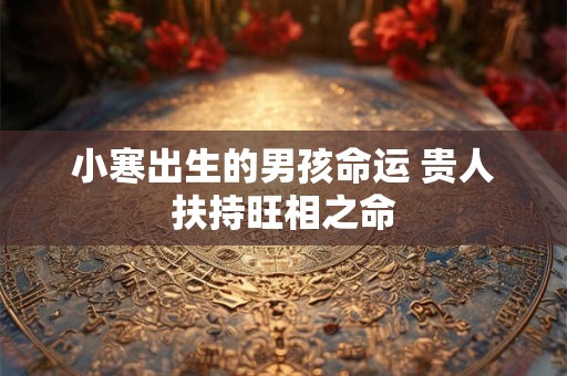 小寒出生的男孩命运 贵人扶持旺相之命 小寒出生的男孩命运 贵人扶持旺相之命