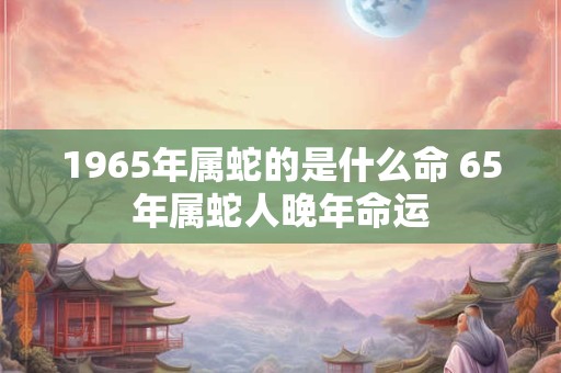 1965年属蛇的是什么命 65年属蛇人晚年命运