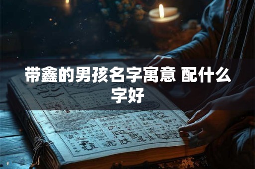 带鑫的男孩名字寓意 配什么字好 带鑫的男孩名字寓意 配什么字好