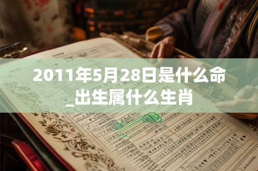 2011年5月28日是什么命_出生属什么生肖 2011年5月28日是什么命_出生属什么生肖