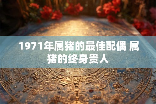 1971年属猪的最佳配偶 属猪的终身贵人 1971年属猪的最佳配偶 属猪的终身贵人