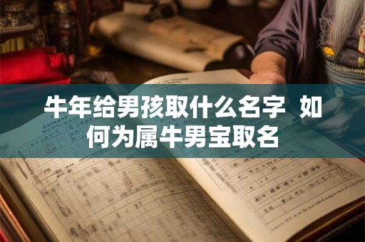 牛年给男孩取什么名字  如何为属牛男宝取名