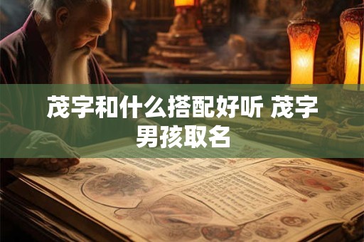 茂字和什么搭配好听 茂字男孩取名