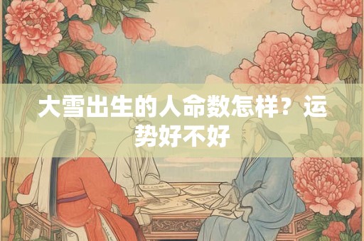 大雪出生的人命数怎样?运势好不好 大雪出生的人命数怎样?运势好不好