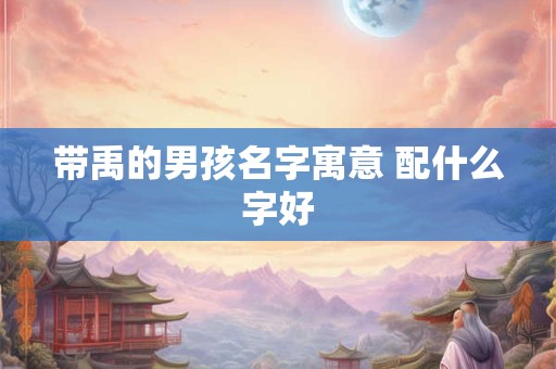 带禹的男孩名字寓意 配什么字好