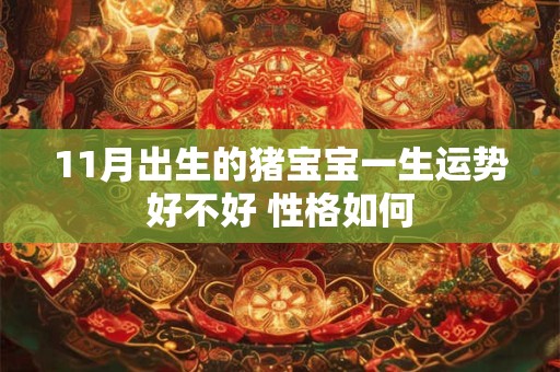11月出生的猪宝宝一生运势好不好 性格如何 11月出生的猪宝宝一生运势好不好 性格如何