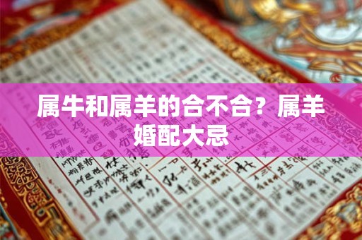 属牛和属羊的合不合？属羊婚配大忌