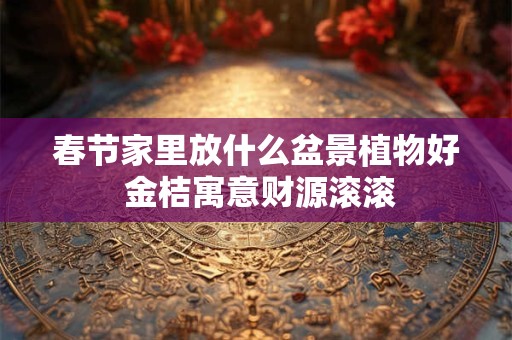 春节家里放什么盆景植物好 金桔寓意财源滚滚 春节家里放什么盆景植物好 金桔寓意财源滚滚