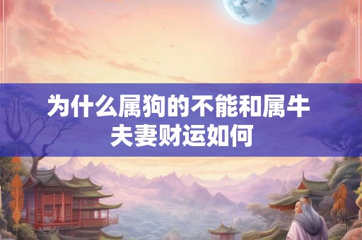 为什么属狗的不能和属牛 夫妻财运如何 为什么属狗的不能和属牛 夫妻财运如何